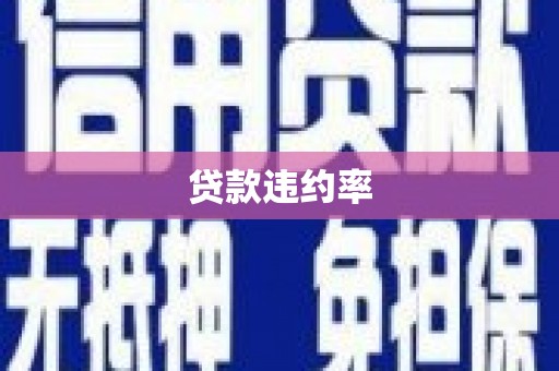 金城贷款违约率