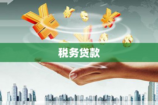 金城税务贷款