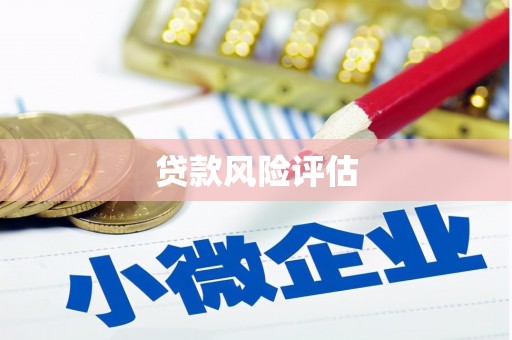 金城贷款风险评估