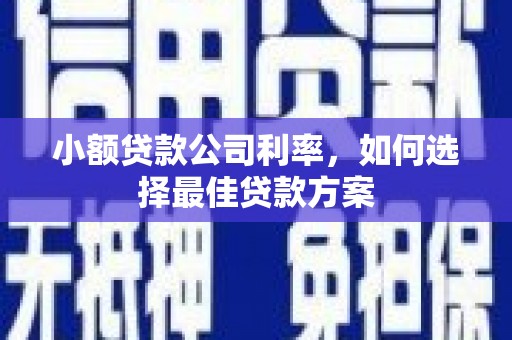 金城小额贷款公司利率，如何选择最佳贷款方案