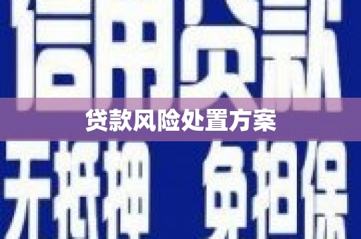 金城贷款风险处置方案