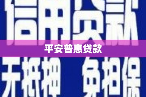 金城平安普惠贷款