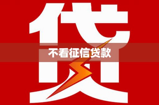 金城不看征信贷款
