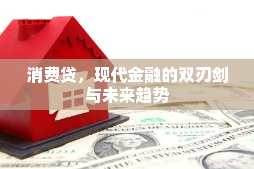 金城消费贷，现代金融的双刃剑与未来趋势