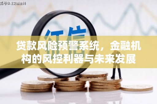 金城贷款风险预警系统，金融机构的风控利器与未来发展