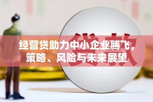 金城经营贷助力中小企业腾飞，策略、风险与未来展望