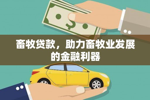 金城畜牧贷款，助力畜牧业发展的金融利器