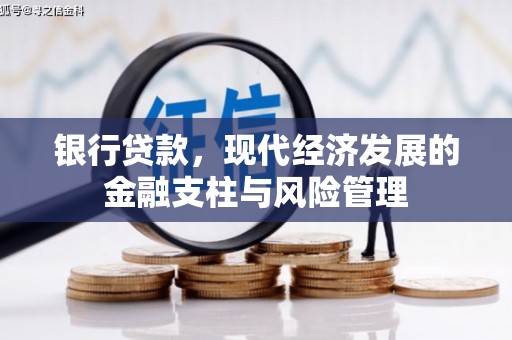 金城银行贷款，现代经济发展的金融支柱与风险管理
