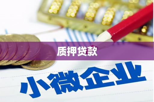 金城质押贷款