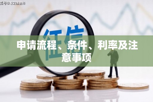 金城申请流程、条件、利率及注意事项