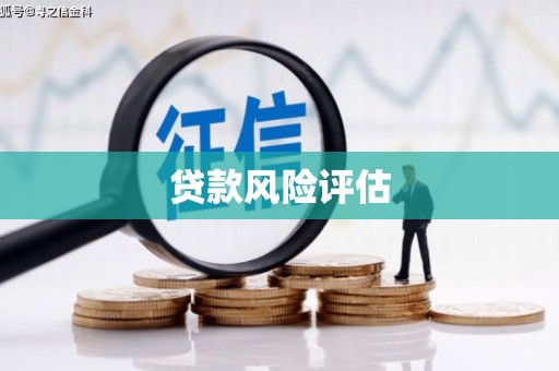 金城贷款风险评估