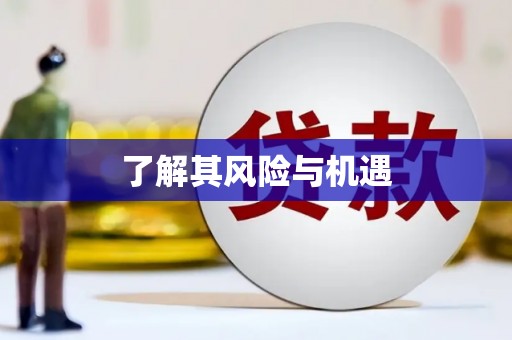 金城了解其风险与机遇