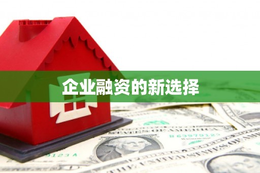 金城企业融资的新选择