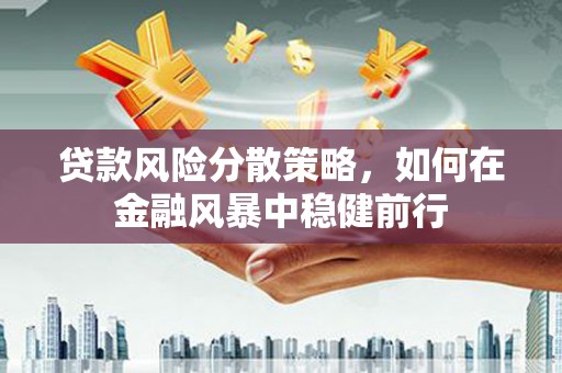 金城贷款风险分散策略，如何在金融风暴中稳健前行
