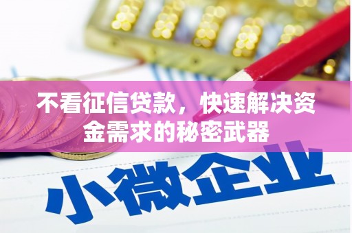 金城不看征信贷款，快速解决资金需求的秘密武器