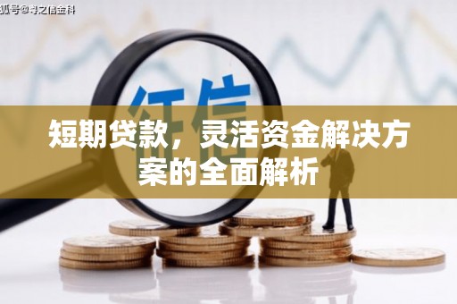 金城短期贷款，灵活资金解决方案的全面解析