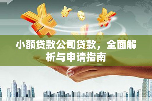 金城小额贷款公司贷款，全面解析与申请指南