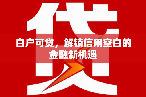 金城白户可贷，解锁信用空白的金融新机遇
