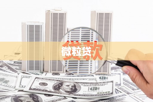 金城微粒贷