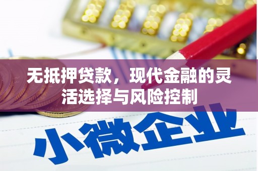 金城无抵押贷款，现代金融的灵活选择与风险控制
