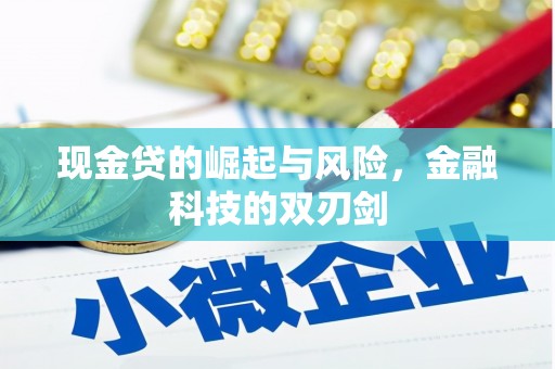 金城现金贷的崛起与风险，金融科技的双刃剑