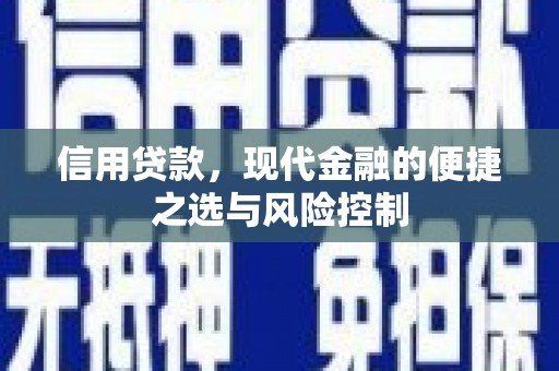 金城信用贷款，现代金融的便捷之选与风险控制
