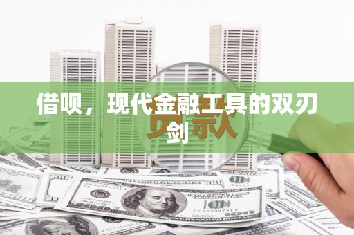 金城借呗，现代金融工具的双刃剑