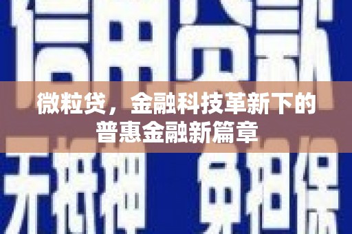 金城微粒贷，金融科技革新下的普惠金融新篇章