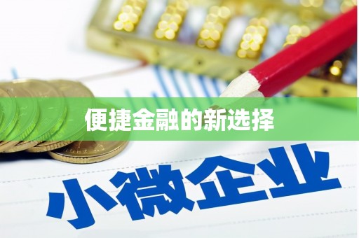金城便捷金融的新选择