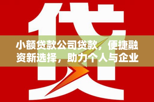 金城小额贷款公司贷款，便捷融资新选择，助力个人与企业成长