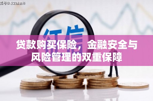 金城贷款购买保险，金融安全与风险管理的双重保障