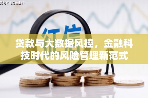 金城贷款与大数据风控，金融科技时代的风险管理新范式