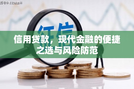 金城信用贷款，现代金融的便捷之选与风险防范