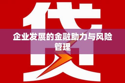 金城企业发展的金融助力与风险管理