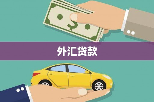 金城外汇贷款