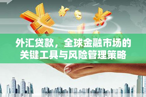 金城外汇贷款，全球金融市场的关键工具与风险管理策略