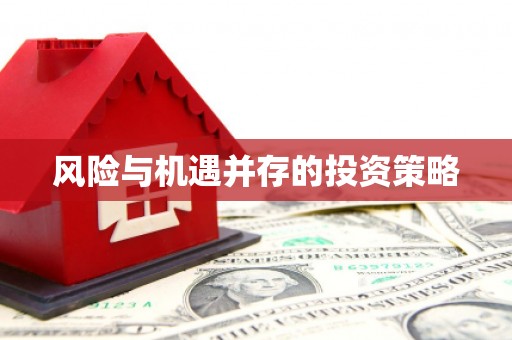 金城风险与机遇并存的投资策略