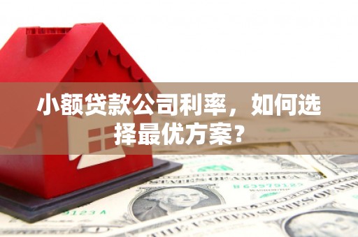 金城小额贷款公司利率，如何选择最优方案？