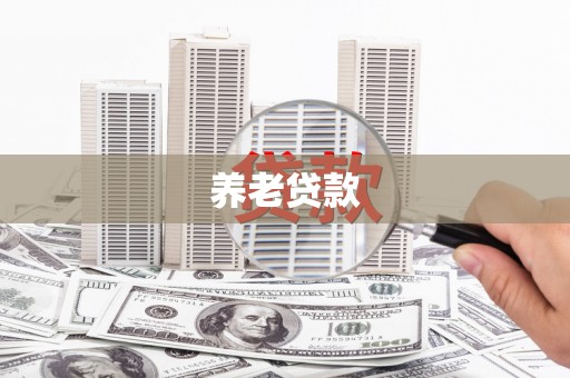 金城养老贷款