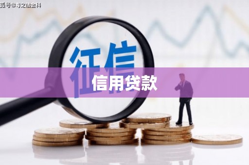 金城信用贷款