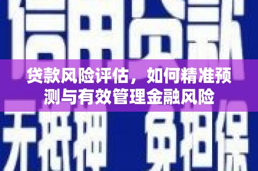 金城贷款风险评估，如何精准预测与有效管理金融风险