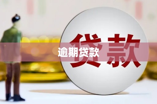 金城逾期贷款