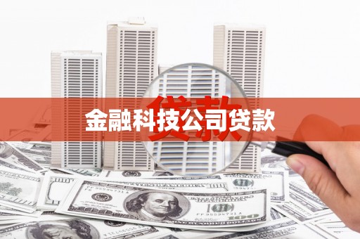 金城金融科技公司贷款