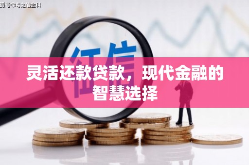 金城灵活还款贷款，现代金融的智慧选择