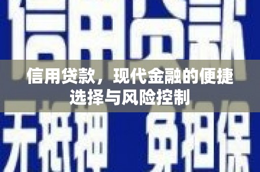 金城信用贷款，现代金融的便捷选择与风险控制