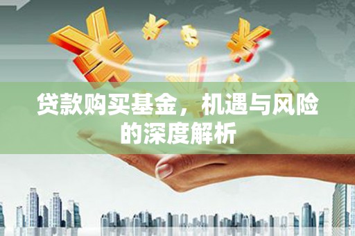 金城贷款购买基金，机遇与风险的深度解析