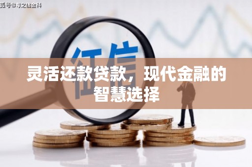 金城灵活还款贷款，现代金融的智慧选择