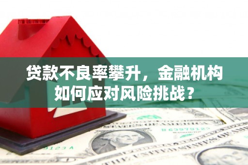 金城贷款不良率攀升，金融机构如何应对风险挑战？