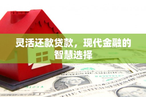金城灵活还款贷款，现代金融的智慧选择
