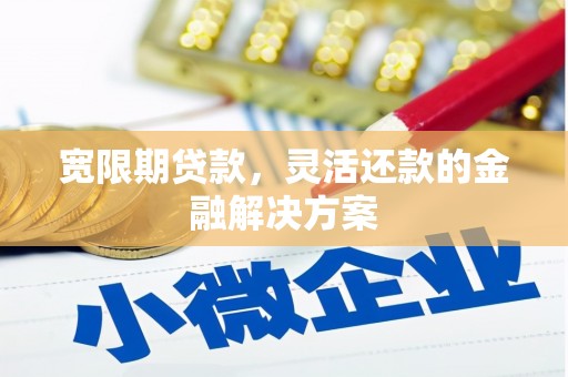 金城宽限期贷款，灵活还款的金融解决方案